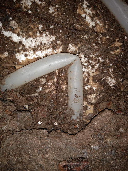 荔波堵点精准查找